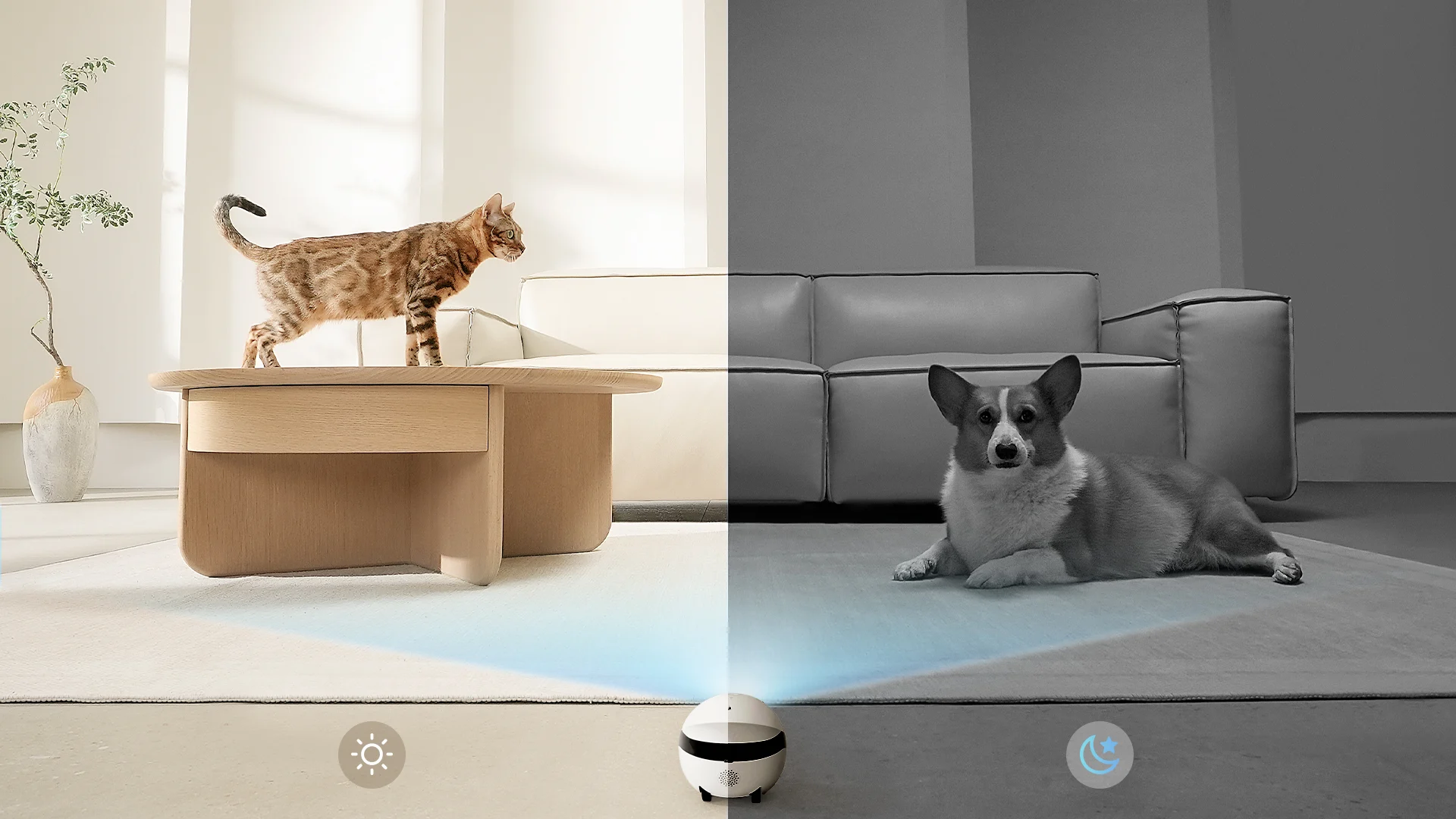 Scherpe 2K-camera
