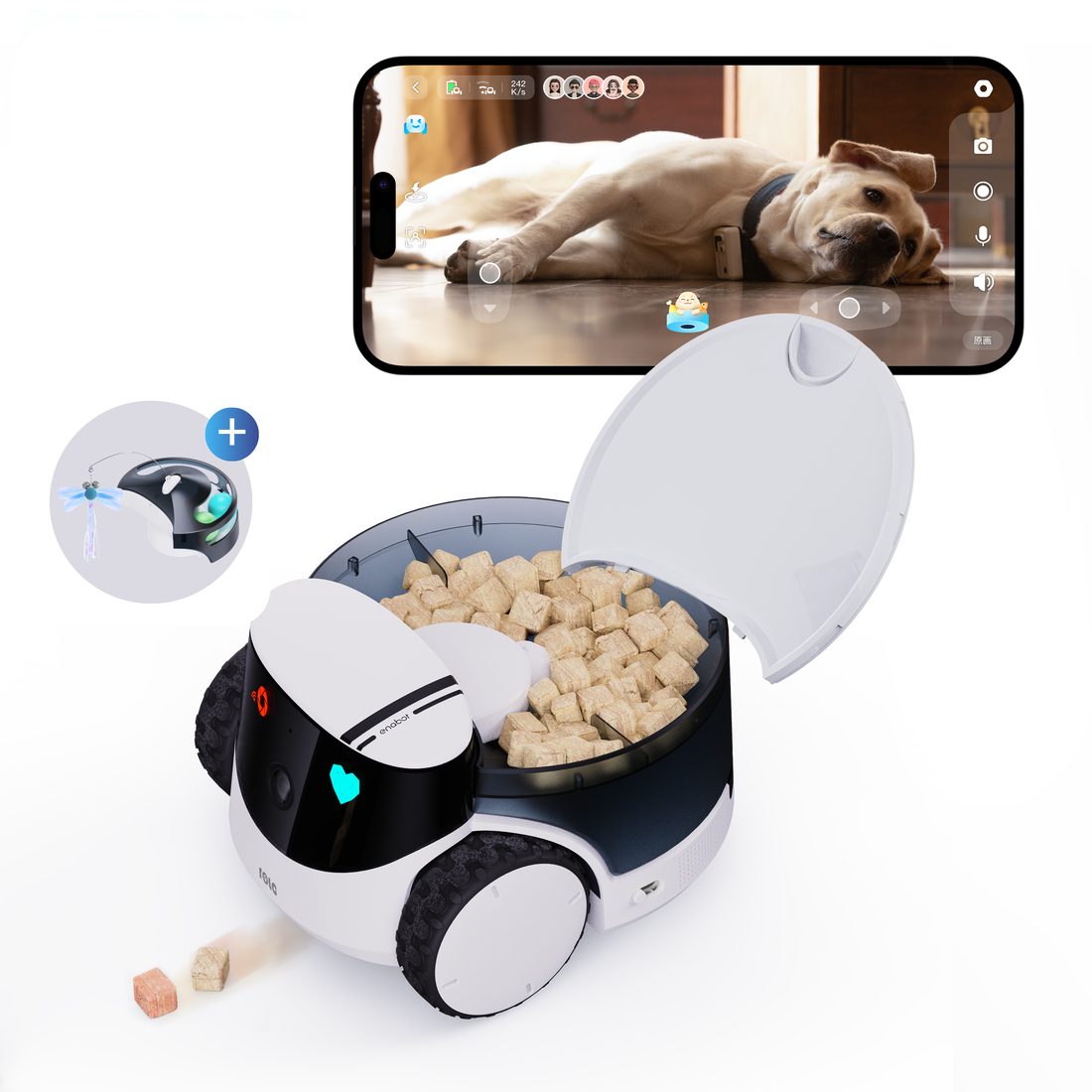 ROLA PetPal, robot compagnon